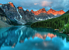 世界杯-活塞老板被要求出售球队 戈尔斯承诺会做出改变